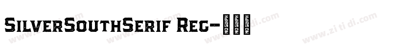 SilverSouthSerif Reg字体转换
